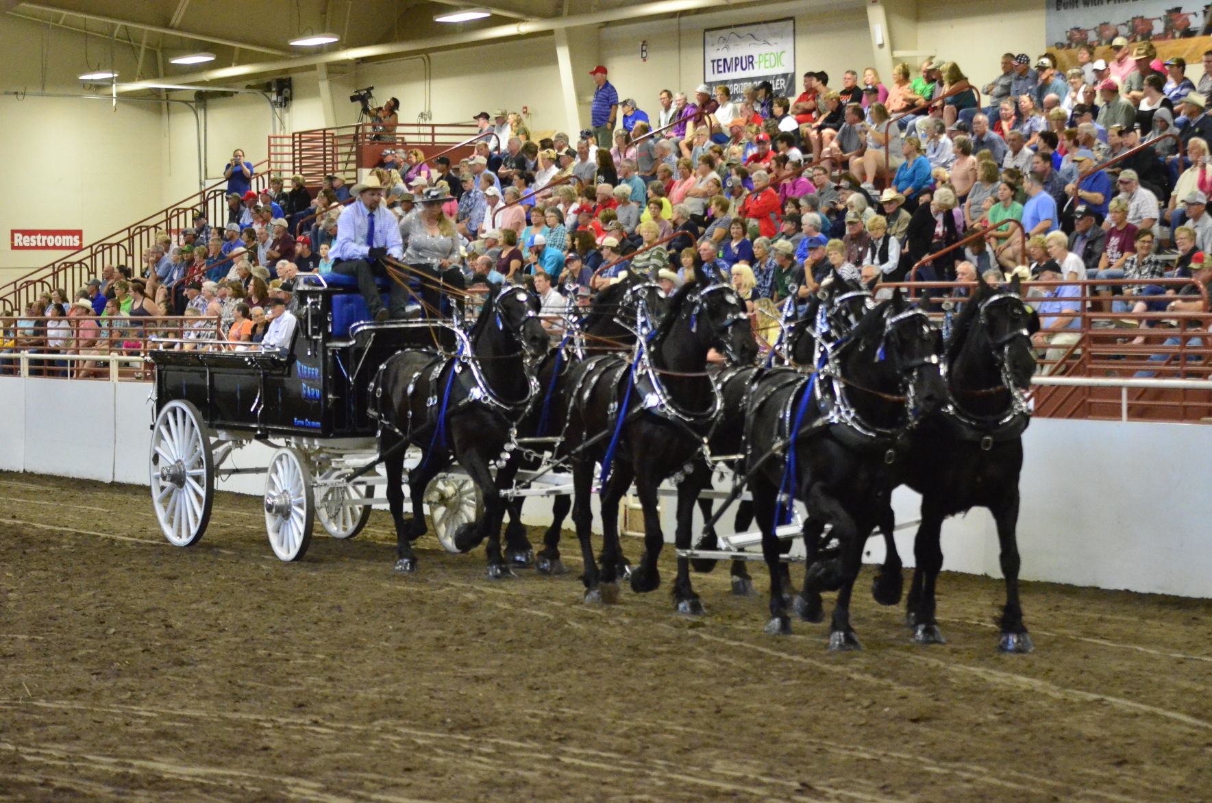 8-25-19 Draft Horse Hitch Final (126).JPG